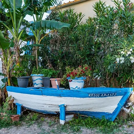 Apartamento Dimitras Luxus House *